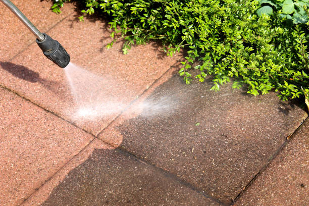 Best Roof Pressure Washing  in Heron Bay, GA